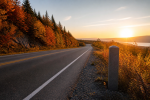 Why We Talk About the Road, Not the Market